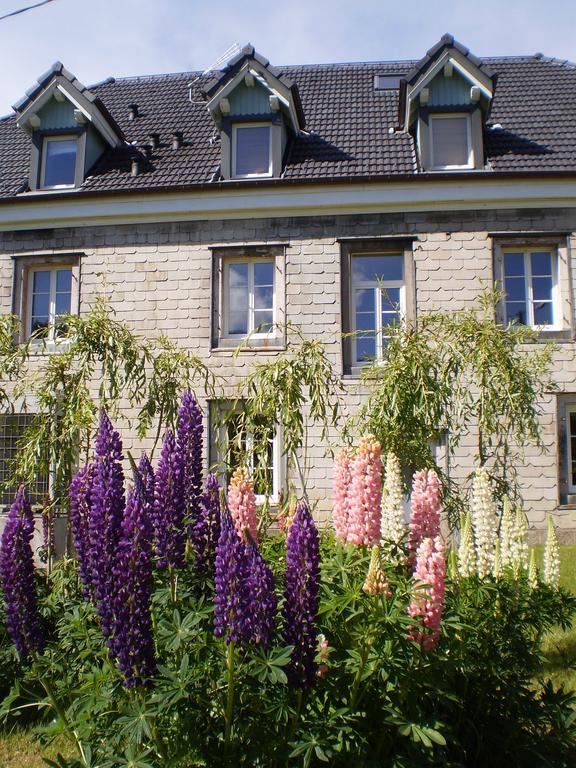Chambres D'Hotes Le Clos Des Lesses Fresse-sur-Moselle Kültér fotó